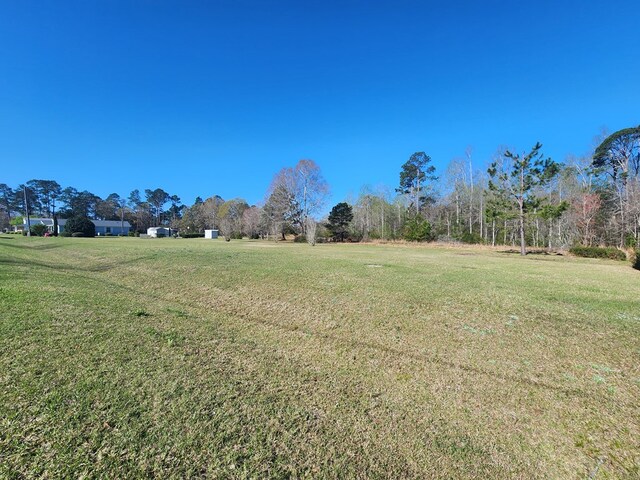 310 Laurel St, Ocilla, GA 31774 - photo 56