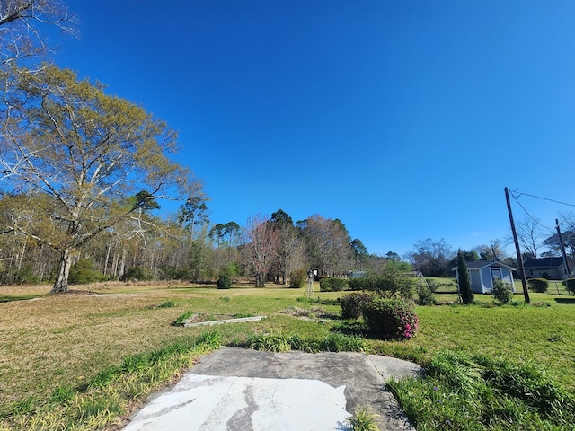 310 Laurel St, Ocilla, GA 31774 - photo 54