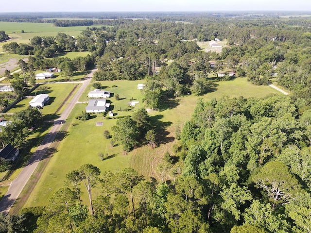 310 Laurel St, Ocilla, GA 31774 - photo 67