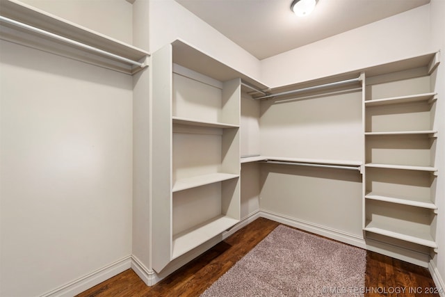 walk in closet with dark hardwood / wood-style flooring