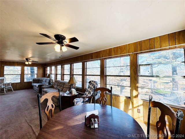 dining room with ceiling fan, wooden walls, and dark carpet