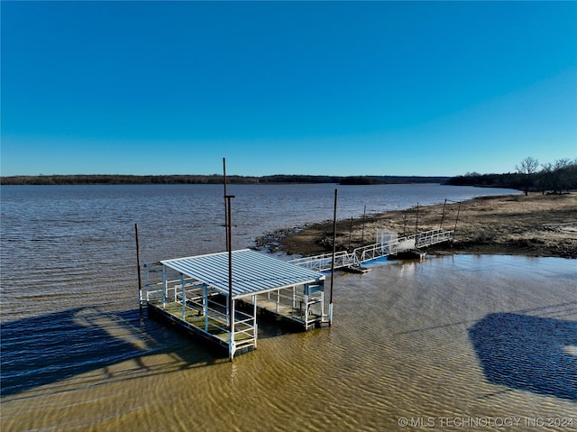 dock area with a water view