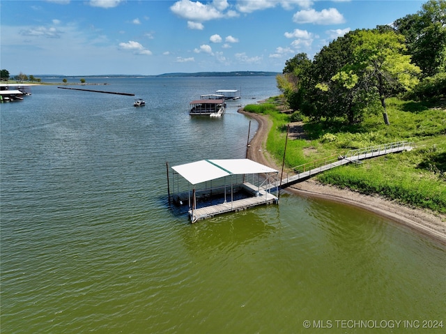 dock area with a water view