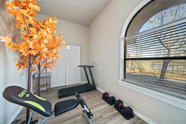 workout room featuring light hardwood / wood-style floors