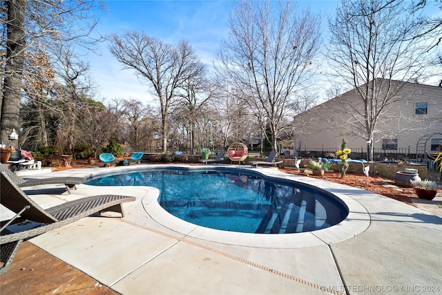 view of swimming pool with a patio