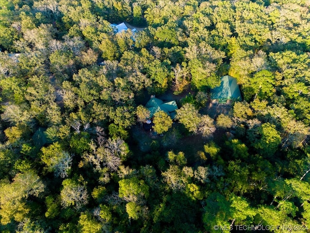 view of bird's eye view