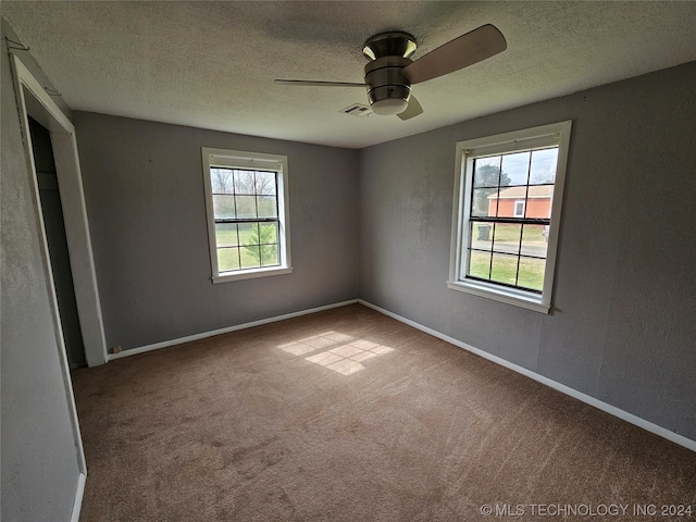 carpeted spare room featuring ceiling fan, a textured ceiling, and a wealth of natural light