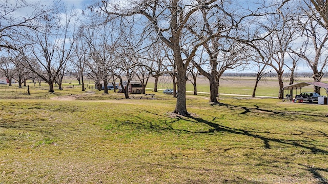 view of yard featuring a carport