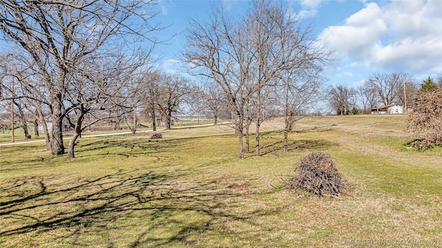 view of yard with a rural view