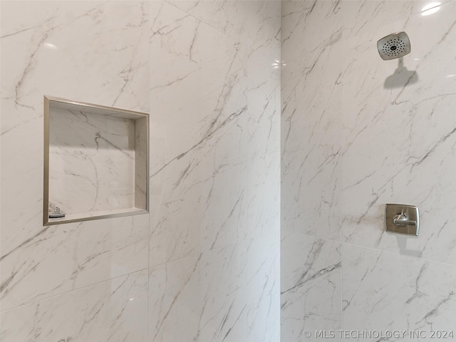 room details with tiled shower