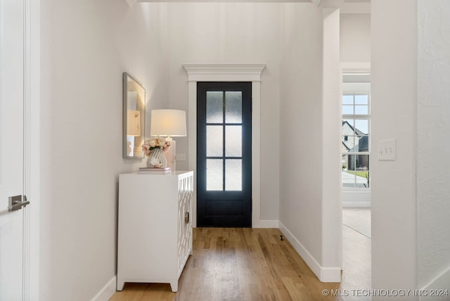 entrance foyer featuring light wood-type flooring