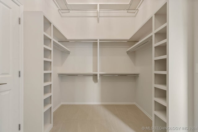 spacious closet with carpet floors