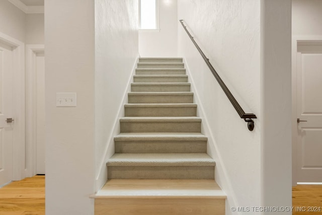 stairs with hardwood / wood-style floors