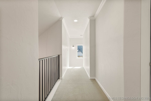 corridor with carpet and ornamental molding