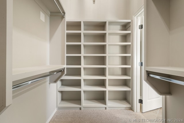 spacious closet with light carpet