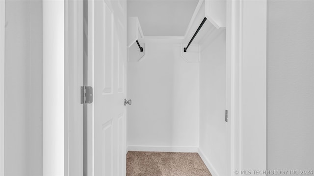 walk in closet with light carpet