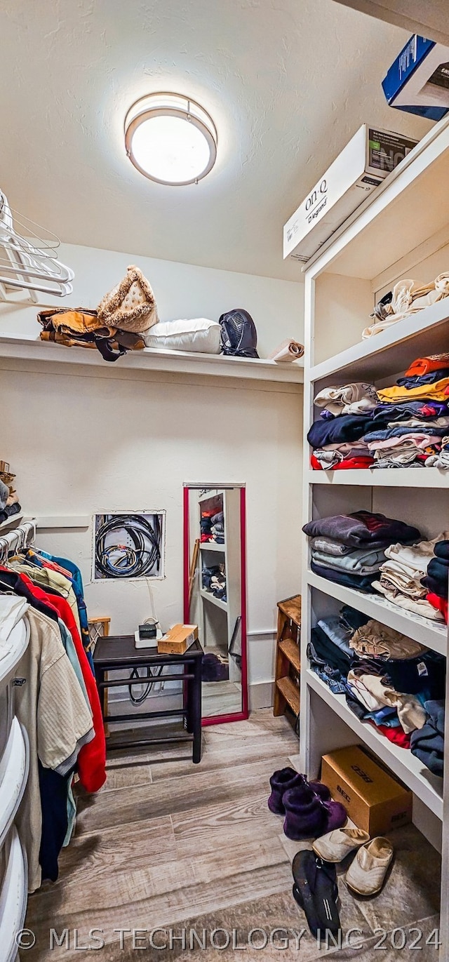 spacious closet featuring wood-type flooring