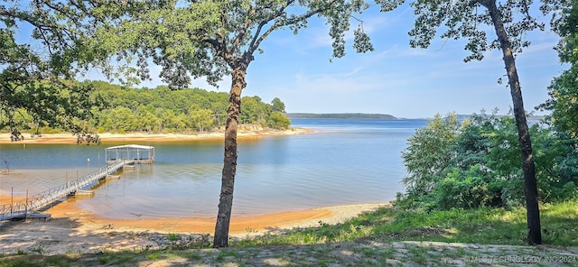 dock area featuring a water view