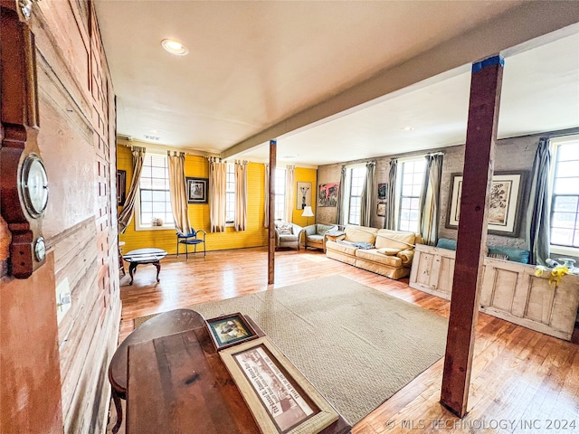 living room featuring a healthy amount of sunlight and light wood-type flooring