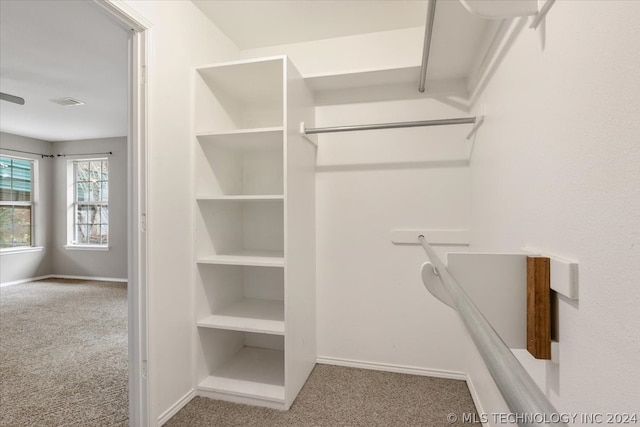 spacious closet featuring carpet