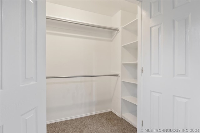 spacious closet with carpet floors