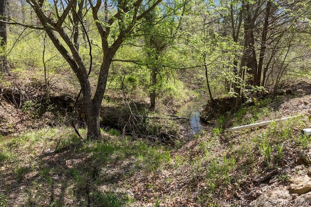 view of local wilderness