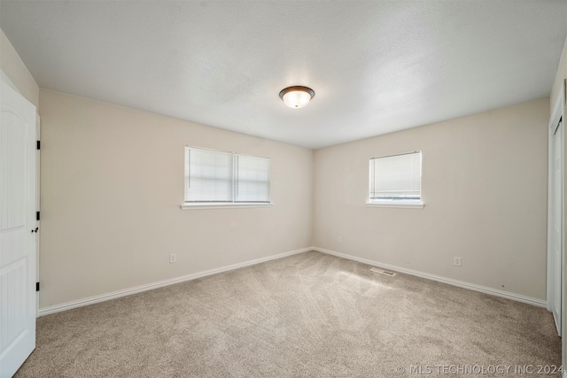 carpeted spare room with plenty of natural light