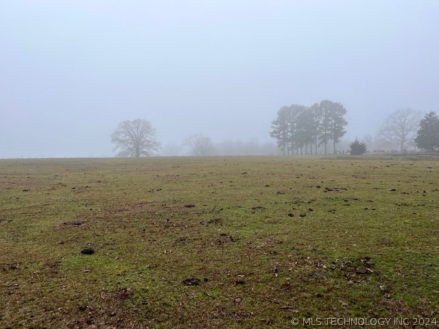 view of local wilderness with a rural view