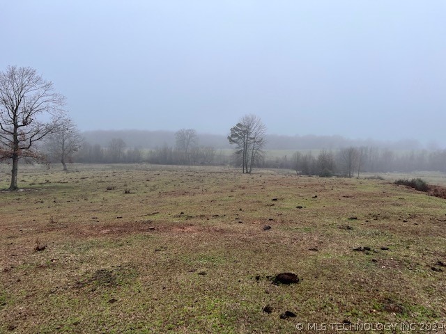 view of yard with a rural view