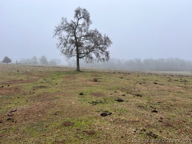 view of nature with a rural view