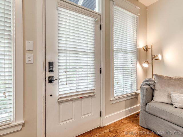 entryway featuring wood-type flooring