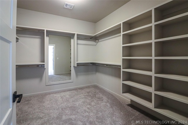 spacious closet with carpet flooring