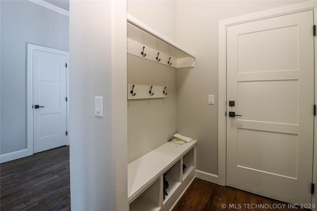 mudroom with dark hardwood / wood-style floors