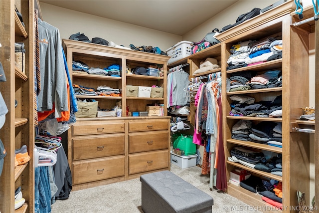 spacious closet featuring light carpet