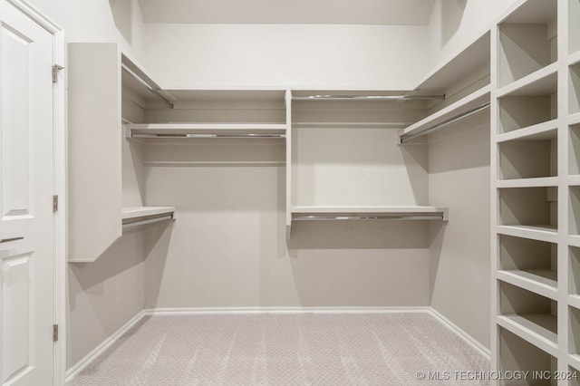 spacious closet with light carpet