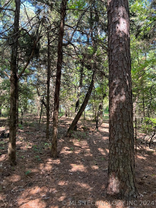 view of local wilderness