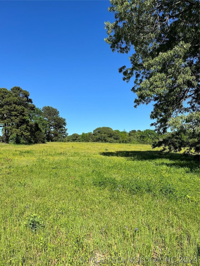 view of landscape with a rural view