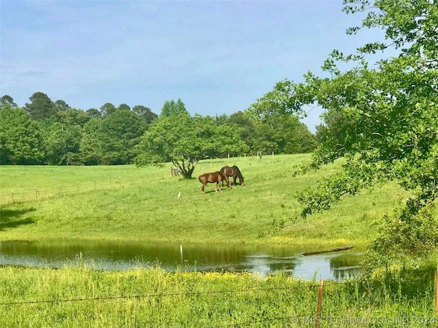 view of water feature with a rural view