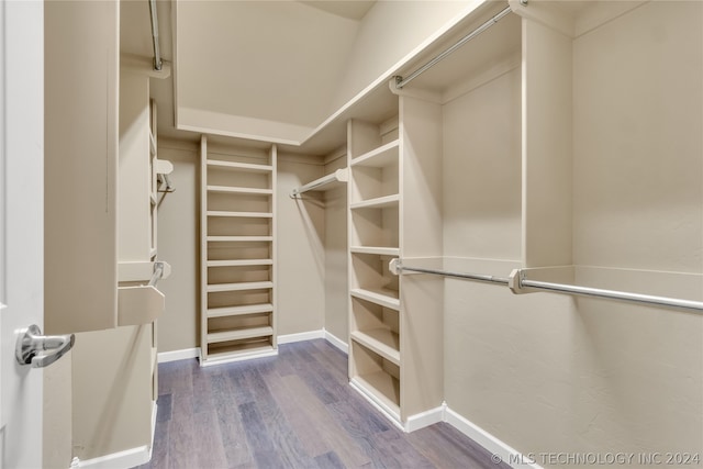 spacious closet featuring dark hardwood / wood-style floors