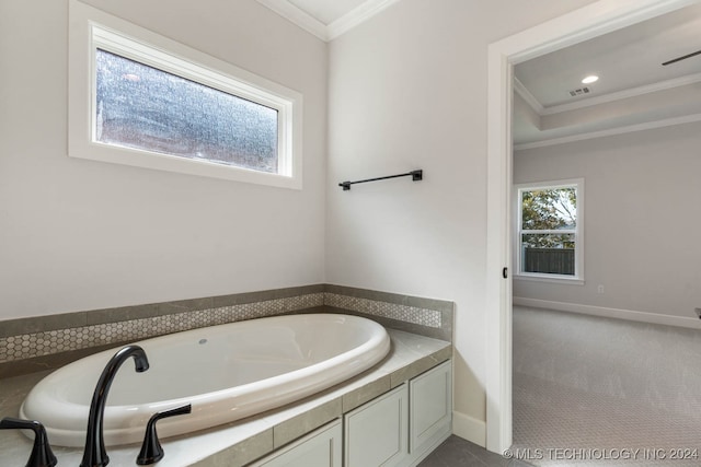 bathroom with crown molding and a washtub