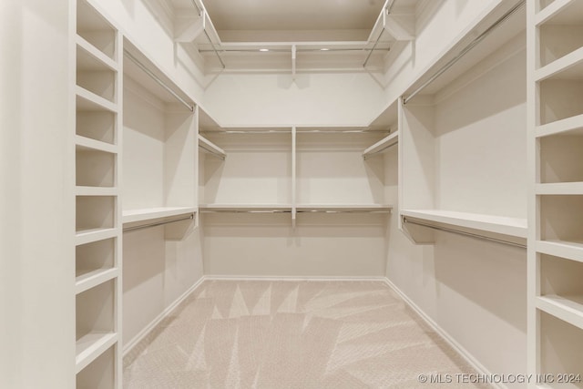 spacious closet with carpet flooring