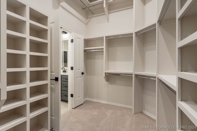 spacious closet featuring light colored carpet and sink