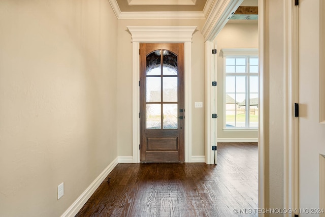 doorway with crown molding and dark hardwood / wood-style floors