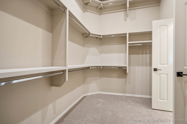 spacious closet featuring light colored carpet