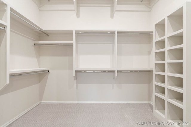 walk in closet with carpet flooring