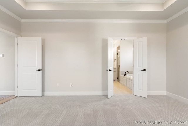 empty room featuring crown molding, light colored carpet, and a raised ceiling