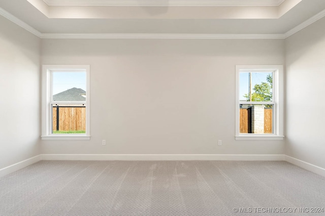 carpeted spare room with crown molding, a tray ceiling, and plenty of natural light