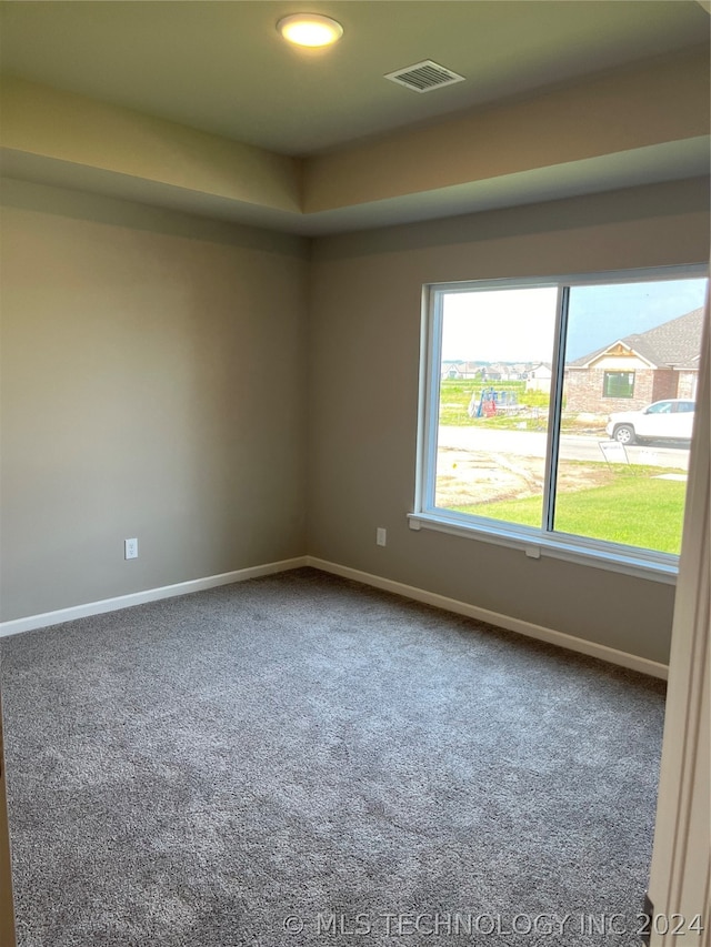 carpeted spare room with a wealth of natural light