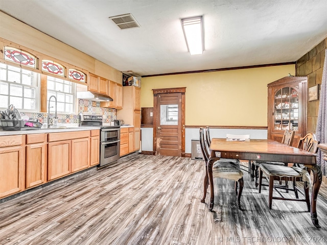 kitchen featuring double oven range, light hardwood / wood-style flooring, and a healthy amount of sunlight