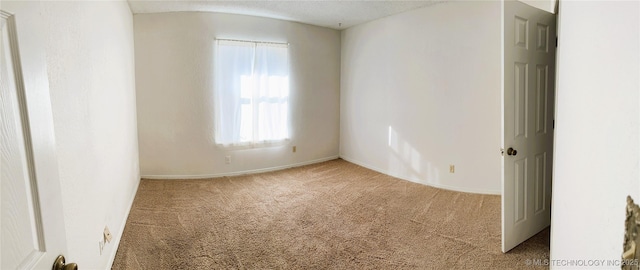 spare room featuring carpet